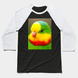 Superb Parrot Baseball T-Shirt